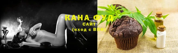 ALPHA PVP Инта
