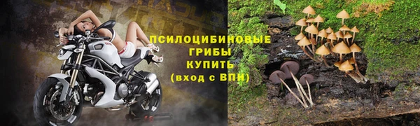 марки nbome Иннополис